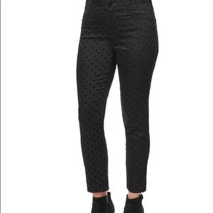 Democracy Women's Absol High Rise Flock Dots Pants